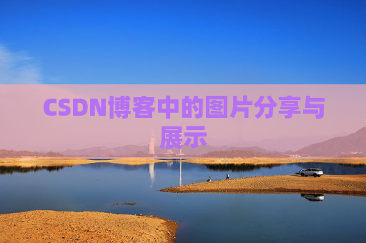 CSDN博客中的图片分享与展示